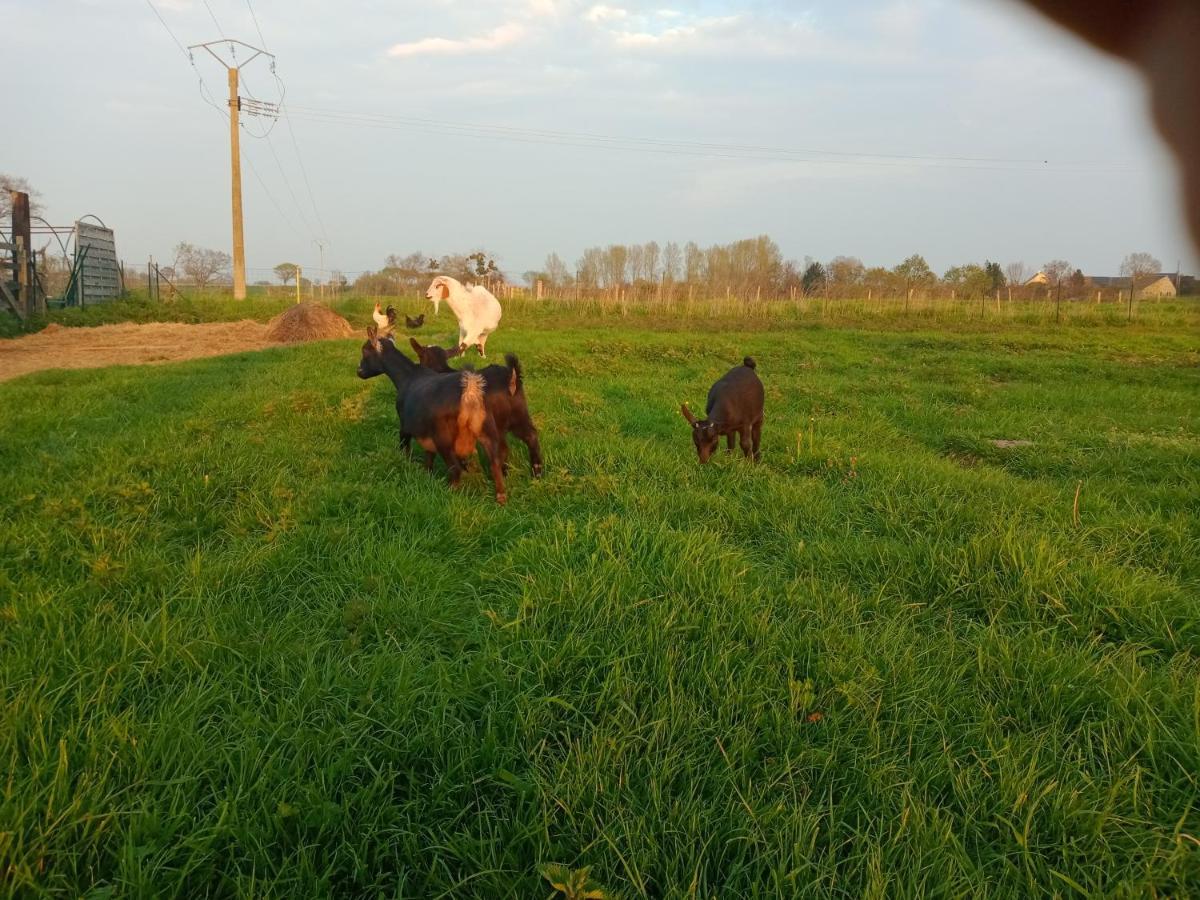La Ferme D' Emerentine Bacilly Bagian luar foto