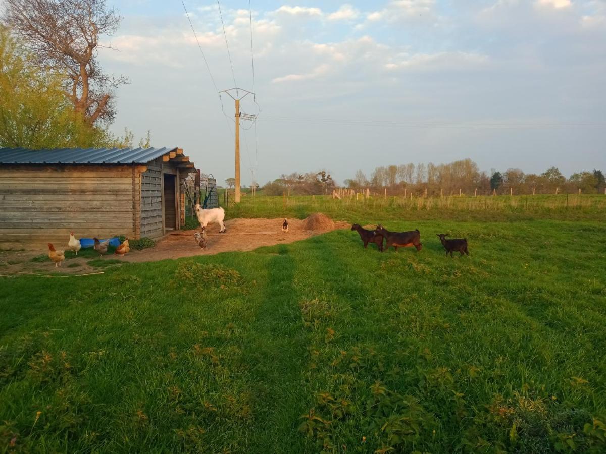 La Ferme D' Emerentine Bacilly Bagian luar foto