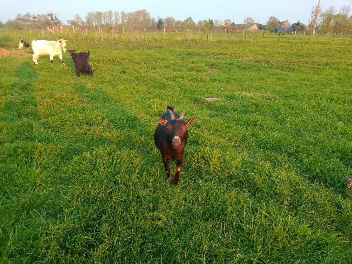 La Ferme D' Emerentine Bacilly Bagian luar foto